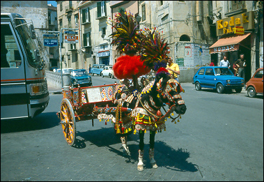 Decorated donkey in Sicily